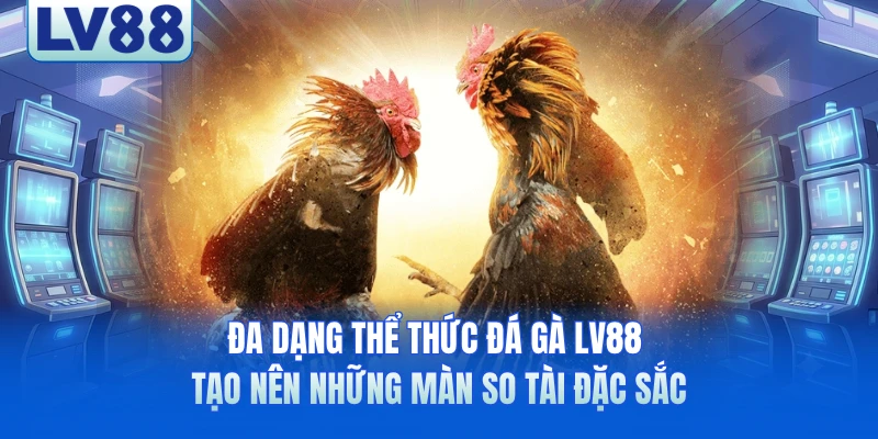 Đa dạng thể thức đá gà LV88 tạo nên những màn so tài đặc sắc